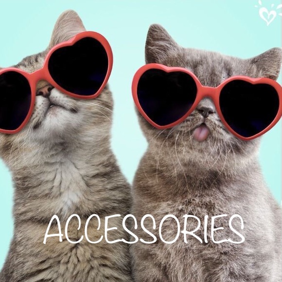 ACCESSORIES - Picture 1 of 1